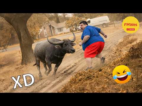 IF YOU LAUGH YOU LOSE GOD LEVEL #642😂 The Funny Videos and Most Viral Memes of 2026 😁