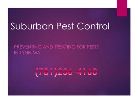 Lynn Ma Pest Control - Pest Control Service in Lynn Ma