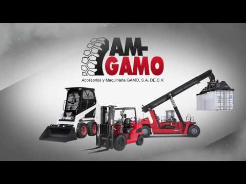 Presentación AM-GAMO