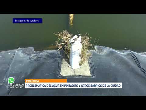 Infotres - 10/06/2021 - Sergio Soarez