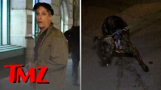 Jon Stewart -- Cutest 3 Legged Dog | TMZ
