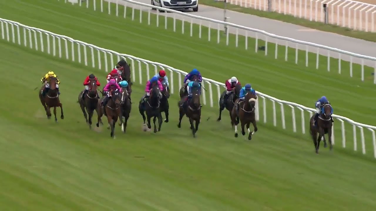 Breeders' Trophy Juvenile 2022