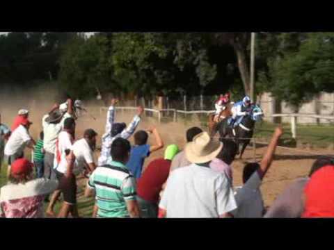 Viuda negra vs Toronja vs Tractor