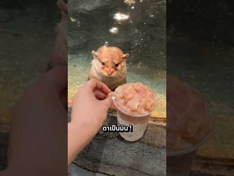 เจ้านากต้องรีบกลับตัวเพราะสิ่งนี้!