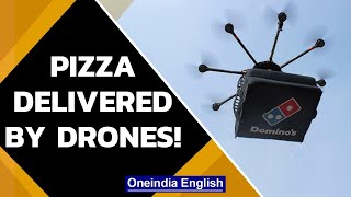 South Korea to deliver Domino’s Pizza via drones in Sejong city  | MOLIT | Oneindia News