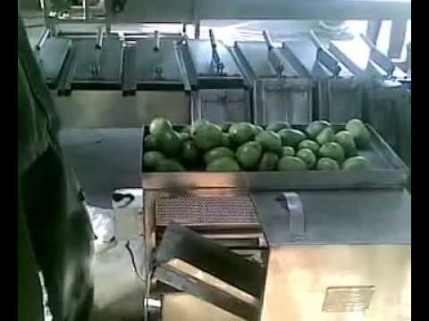 Raw Mango Half Cutting Machine