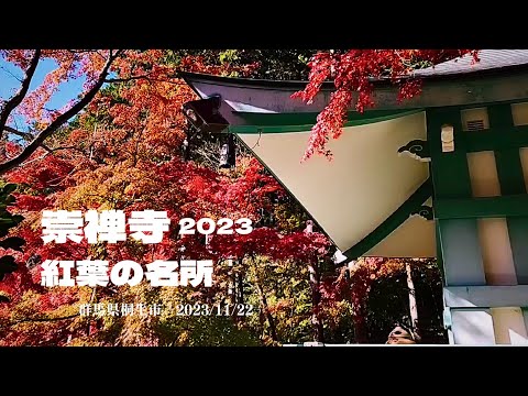 [Hojas de otoño] Hojas de otoño del templo Sozenji tomadas el 22 de noviembre de 2023 Kawauchi, ciudad de Kiryu, prefectura de Gunma