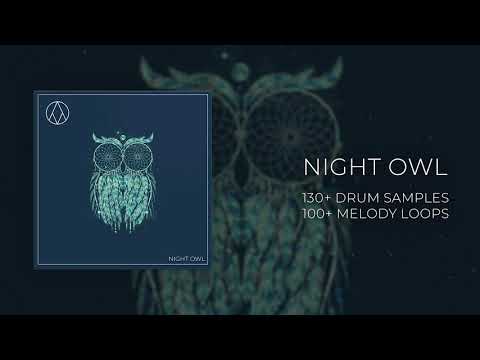 Free Download Night Owl (R2) WAV-DECiBEL