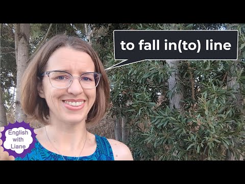 Idiom - to fall in line or to fall into line