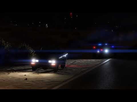 THE TRAFFIC STOP (GTA 5 LSPDFR REAL LIFE PC MOD)