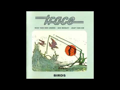 Trace ‎– Birds (1975)