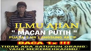Download lagu WHITE TIGER SPELL MANTRA mp3