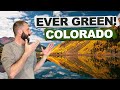 Living in Evergreen Colorado / Everything You Need to Know Before Moving