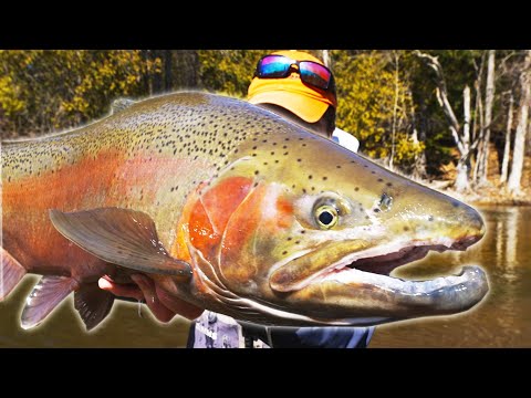 SPRING STEELHEAD Fishing (feat. @FaZeScp)