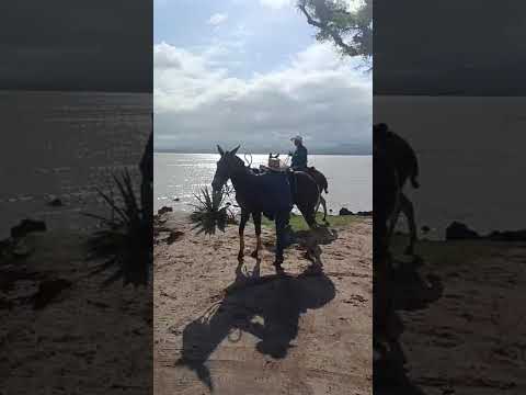 Anchieta espírito santo Brasil