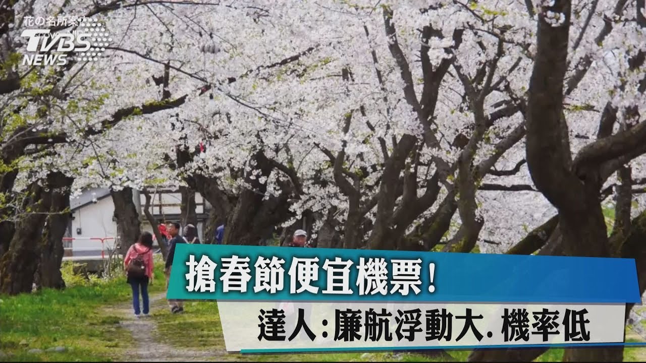 搶春節便宜機票！　達人：廉航浮動大、機率低