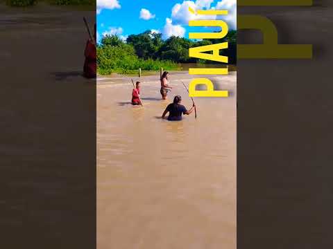 passagem molhada do tabuleiro branco -Itainópolis   Piauí 🤠