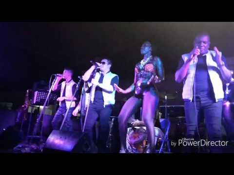 Los silver star punta silver