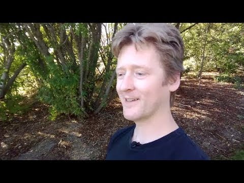 Thoughts on Iain M. Banks Culture novels