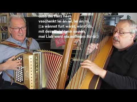 Lei mei anzige Liab - Hedi Preisegger