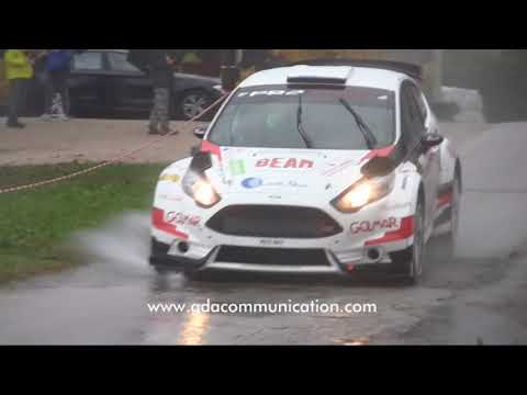 Domenico Erbetta - Rally Città del Palladio 2017