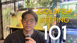 Goldfish 101: How to Care for Your First Goldfish (Beginner’s Guide)