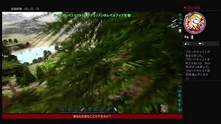 ARK　　家欲しい。。。