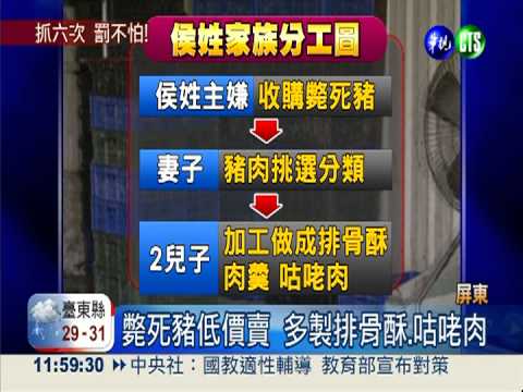 屏東破獲斃死豬 查扣逾2千公斤