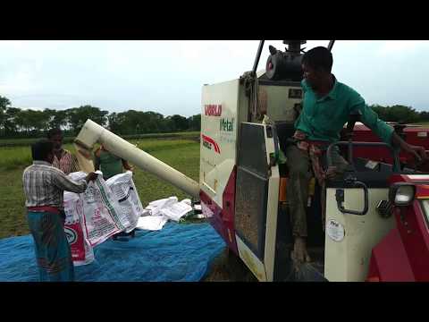 কম্বাইন হারভেস্টার এক সাথে ধান কাটা, মাড়াই, ঝাড়াই ও বস্তাবন্দী