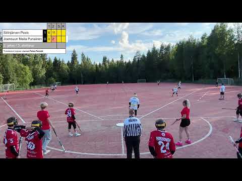 Aluesarja 2024: D-pojat PS: Siipe vs Joma punainen