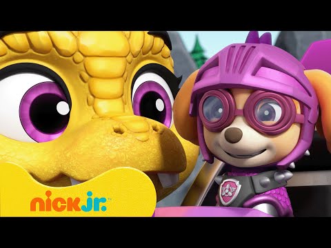 Capa de Patrulha Canina | Cavaleiros do Resgate: Filhotes Salvam o Dia 👑 | Nick Jr. em Português