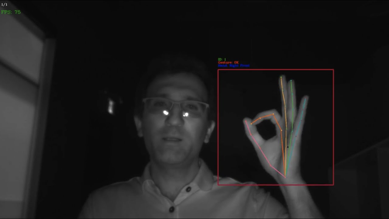 Static Gestures with NIR Camera