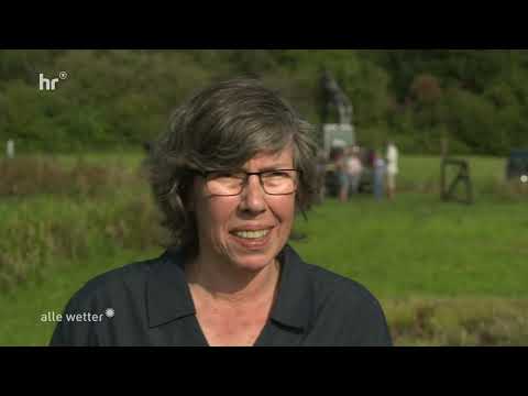 Projekt vom 30.08.2024 "Tümpelpflege für die Gelbbauchunke in der Wächtersbacher Köhlersaue"