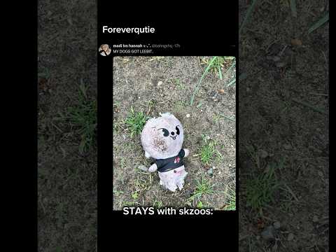 Stays need to take better care of the skzoos! 🫶🏼 #straykids #skz #stay #kpopskz #bts #bt21 #skzoo