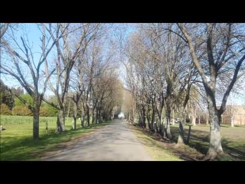 Desde El Alba - Canciones de la Mariápolis