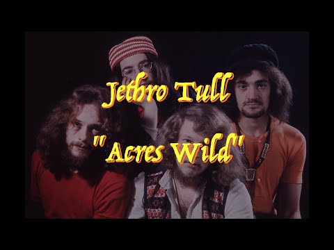 Acres Wild - Jethro Tull
