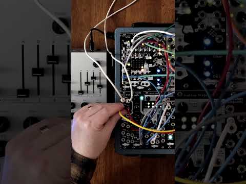 Noise Engineering Nive grad 2025 - Silver image 9