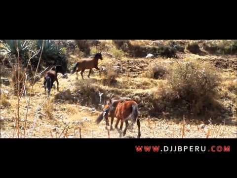 Que Viva El Peru Hell (Official Video) - Dj JB Melcochita Ft Damian & El Toyo (SUCCESS 2014)