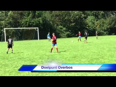 Overbos D1 - VTT 2015