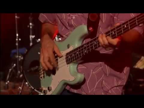 Omar & the Howlers Live in Germany 2005 Mississippi Hoo Doo Man