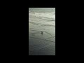 System Of A Down Aerials 1 Hour