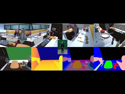 Speech Gesture and LTL Video