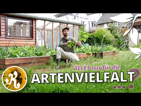 The problem with “species protection”🌿🐛 - what biodiversity really means.