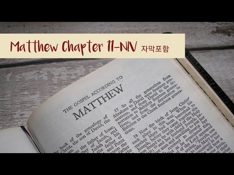 Matthew 11 NIV AUDIO BIBLE (with text)