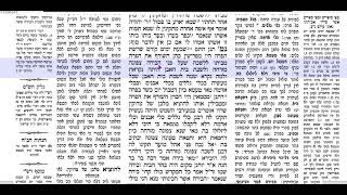 יומא  דף ב