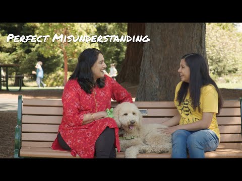 Perfect Misunderstanding