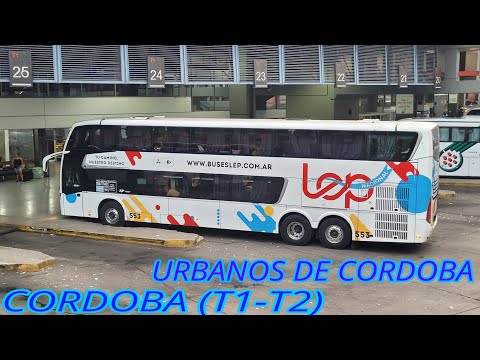 OMNIBUS URBANOS DE CORDOBA Y TERMINAL DE OMNIBUS DE CORDOBA T1 / T2 - MAXI GAMER 521