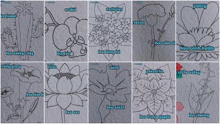 @OCHOICUABEE tô màu hoa POINSETTIA và VIOLET