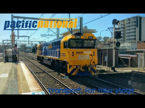 Transport for NSW Vlog No.1037 Freshly Painted 8202