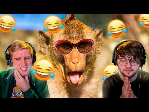 You laugh you lose!! (Brazil Edition)